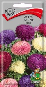 Астра Балун Микс махровая 0,1г Одн смесь 60см (Поиск)