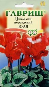 Цикламен Юля персидский 3шт Комн 20см (Гавриш)