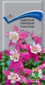 Аквилегия Розовая звезда гибридная 0,05г Мн 70см (Поиск)