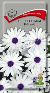 Остеоспермум Небо и лед 0,1г Одн 30см (Поиск)