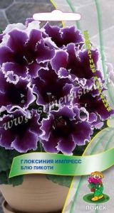 Глоксиния Импресс Блю Пикоти 5шт Комн (Поиск)