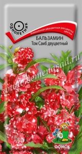 Бальзамин Том Самб Двуцветный 0,1г Одн 45см (Поиск)