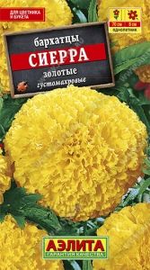 Бархатцы (Тагетес) откл. Сиерра золотые 0.3г 60-70см (Аэлита)