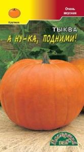 Тыква А ну-ка, подними крупноплодная 1,5г Ср (Цвет сад)