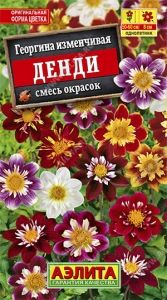Георгина Денди изменчивая 0.3г Одн смесь 60см (Аэлита)
