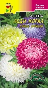 Астра Леди Корал розовидная 0,1г Одн смесь 70см (Цвет сад)