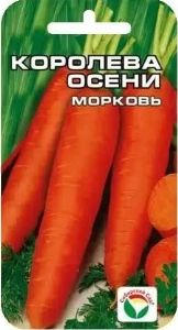 Морковь Королева осени 2г Позд (Сиб сад)