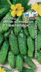 Огурец Филиппок F1 корнишон 0,3г Пч Ср (Седек)