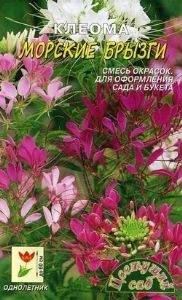Клеома Морские брызги 0.3г Одн смесь 60см (Цвет сад)