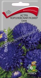 Астра Королевский размер Синяя пионовидная 0,1г Одн 100см (Поиск)