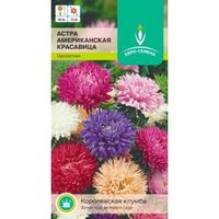 Астра Американская красавица 0,3г Одн смесь 60см (Евро-сем)