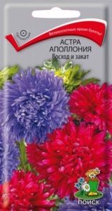 Астра Аполлония Восход и закат хризантемовидная 0,3г Одн смесь 70см (Поиск)