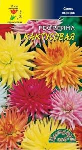 Георгина Кактусовая 0,2г Одн смесь 60см (Цвет сад)
