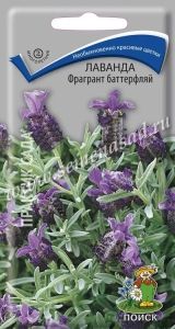 Лаванда Фрагрант баттерфляй 20шт Мн 60см (Поиск)