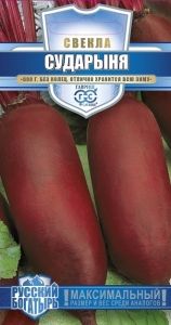 Свекла Сударыня 2г цилиндрическая Ср (Гавриш) Русский богатырь