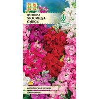 Маттиола Люсинда 0,02г Одн смесь 80см (Евро-сем)
