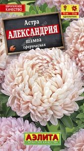 Астра Александрия шамоа сферическая махровая 0.1г Одн 70см (Аэлита)