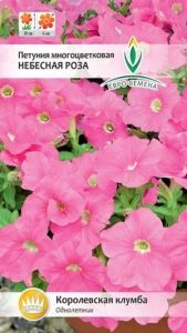 Петуния Небесная роза многоцветковая 0,1г Одн 30см (Евро-сем) Без пробирки