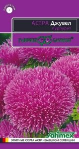 Астра Джувел Пурпурит игольчато-коготковая 0,1г Одн 75см (Гавриш) Эксклюзив