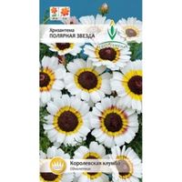 Хризантема Полярная звезда 0,1г Одн 60см (Евро-сем)
