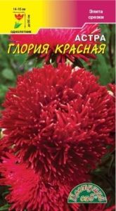 Астра Глория Красная хризантемовидная 0,2г Одн 80см (Цвет сад)