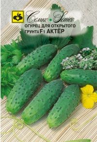 Огурец Актер F1 корнишон 1г Пч Ср (Семко)