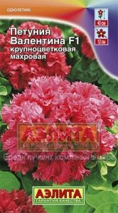 Петуния Валентина F1 крупноцветковая махровая 10шт Одн 40см (Аэлита)