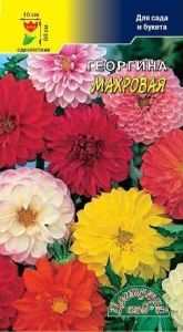 Георгина Махровая 0,2г Одн смесь 60см (Цвет сад)