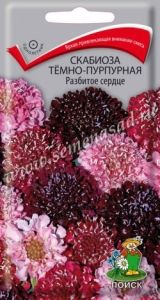 Скабиоза Разбитое сердце темно-пурпурная 10шт Одн 90см (Поиск)