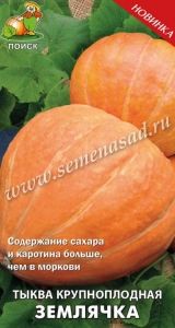 Тыква Землячка крупноплодная 10шт Ср (Поиск)