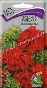 Гвоздика Алая красавица турецкая 0,5г Дв 50см (Поиск)