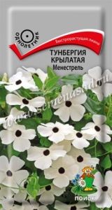 Тунбергия Менестрель крылатая 0,3г Одн 200см (Поиск)