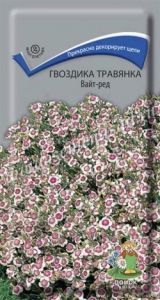 Гвоздика Вайт-Ред травянка 0,1г Мн 15см (Поиск)
