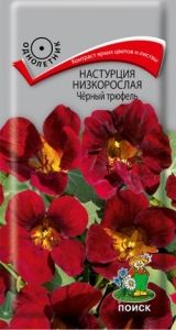 Настурция Черный трюфель низкорослая 1г Одн 40см (Поиск)
