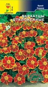 Бархатцы (Тагетес) откл. Красная Мариетта 0.1г 20см (Цвет сад)