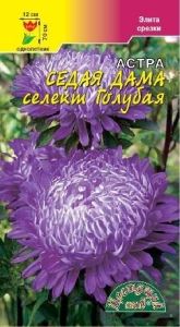 Астра Седая Дама селект Голубая пионовидная 0.1г Одн 70см (Цвет сад)