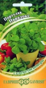 Портулак овощной Парадокс 0,1г Ранн (Гавриш) Урожай на окне