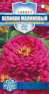 Цинния Великан Малиновый 0,3г Одн 90см (Гавриш) Русский богатырь