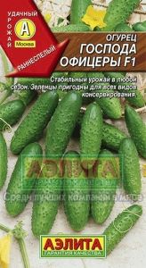 Огурец Господа офицеры F1 0.25г Пч Ранн (Аэлита)