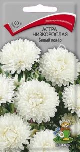 Астра Белый Ковер низкорослая 0,2г Одн 20см (Поиск)