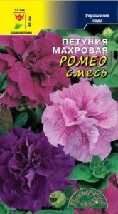 Петуния Ромео махровая 10шт Одн смесь 40см (Цвет сад)