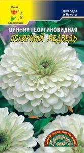 Цинния Полярный медведь георгиновидная 0.3г Одн 90см (Цвет сад)