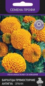 Бархатцы (Тагетес) пр. Антигуа Оранж 15шт 30см (Поиск) Семена Профи
