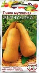 Тыква Жемчужина мускатная 1г Ср (Гавриш) Традиция