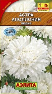Астра Аполлония Белая хризантемовидная 0.2г Одн 70см (Аэлита)