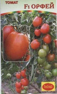 Томат Орфей F1 15шт Дет Ранн (Гисок)