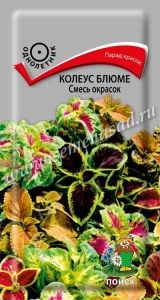 Колеус Блюме Смесь окрасок 0,1г Одн 50см (Поиск)