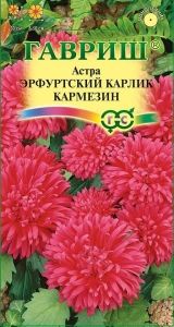 Астра Эрфуртский карлик Кармезин 0,3г Одн 30см (Гавриш)