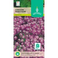 Алиссум Рози О Дей морской 0,25г Одн 12см (Евро-сем)