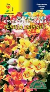 Львиный зев Текила крупноцветковый 0.05г Одн смесь 60см (Цвет сад)